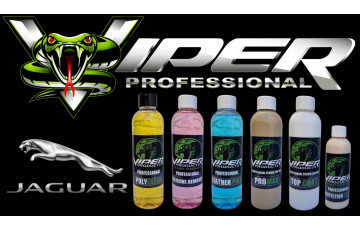Jaguar Colors